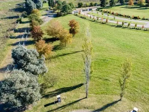 Mirabosques Cardales