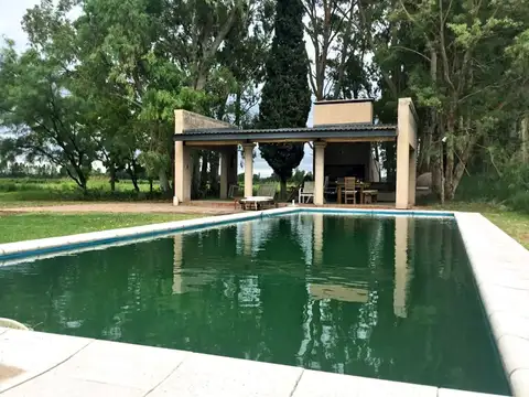 VENTA CAMPO GANADERO 400 Ha. GOUDGE SAN RAFAEL MDZ