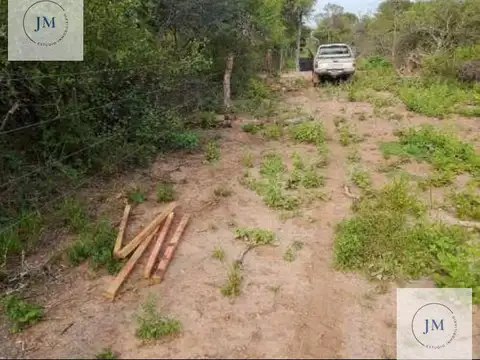 Campo de 100 ha