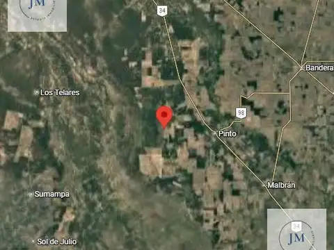 Campo de 100 ha