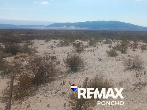 VENTA CAMPO NATURAL DEPTO POMAN RUTA 25