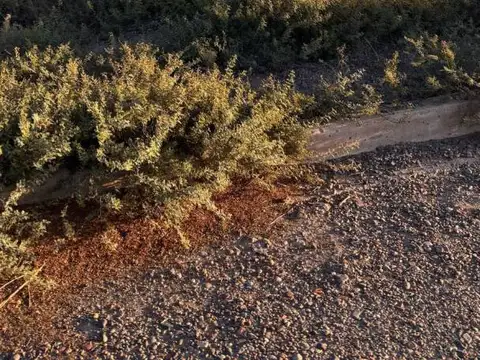 Terreno en Venta en El Sauce, USD 18.000