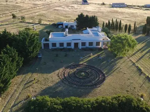 Melica 100
