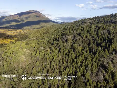 CAMPO-87 HECTAREAS- RIO MANSO