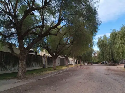 Terreno en Venta en Cruz de Piedra, USD 39.000