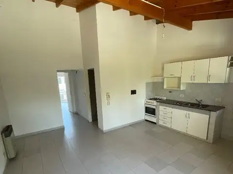 Luis agote 100