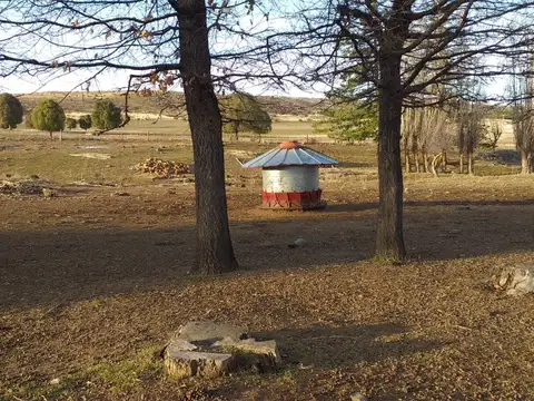 Campo en Venta de 22  ha