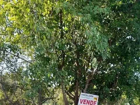 Terreno en Venta 30  mts Fondo