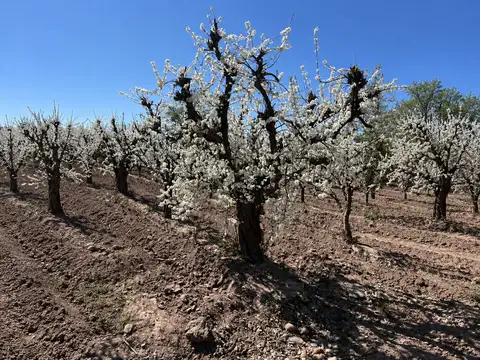 La Falda 200