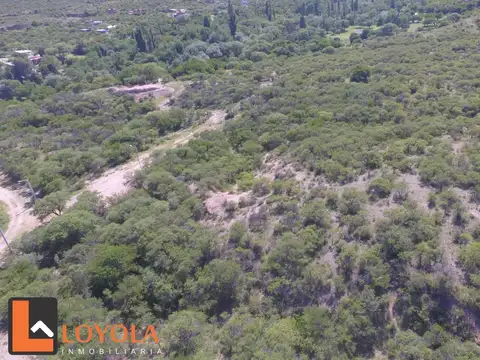 Consultar dirección