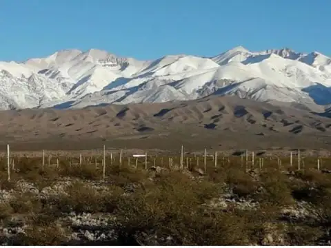 Terreno en Venta de 24003,0 m2