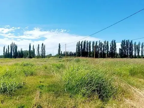 Terreno en Venta en Cervantes, USD 4.500