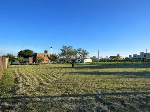 Terreno en Venta de 350,0 m2