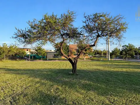 Terreno en Venta - Tejas 4