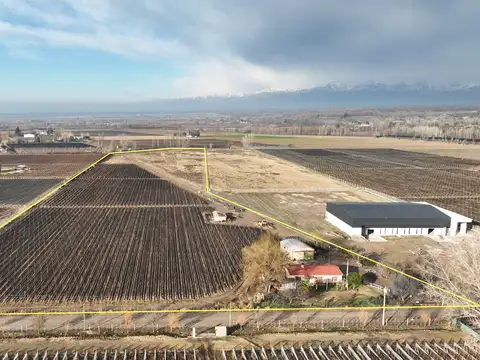 6 Has. Finca en Tupungato con viñedos Malbec.