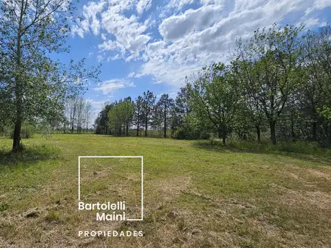 Fiambalá y Rio Salado