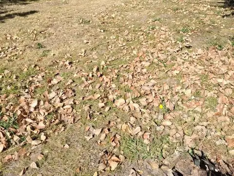 Casa en venta El Salto Potrerillos Mendoza