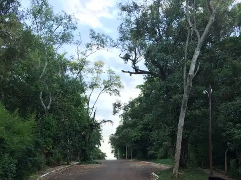 AV. COSTANERA 100