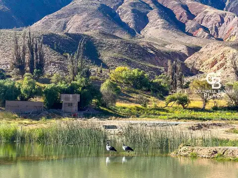 Terreno en Venta de 705,0 m2