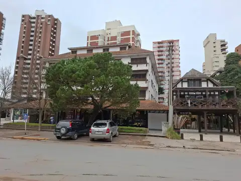Libertador 100