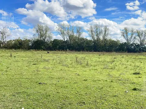 Terreno de 10 ha en venta Escobar