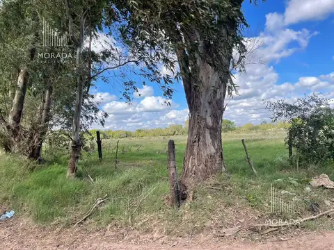 Terreno en Venta en Lambertucci, USD 630.000