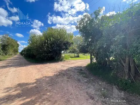 Saavedra e/ Pasaje Solis y San Justo