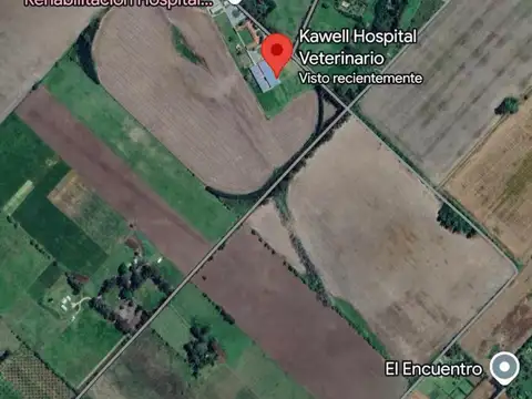 Campo en Venta Agrícola