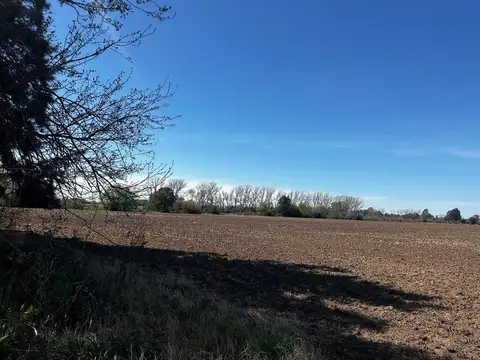 Ruta 8 Km 95.100 S/n Solis