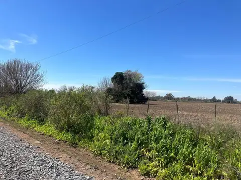 Campo en Venta de 18,47  ha