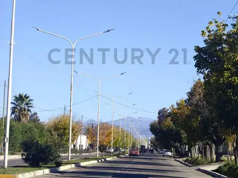 Finca Productiva. Calle Lencinas , Piso 0