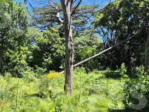 LOTEO EN VENTA PARA ZONA COMERCIAL CONSTRUCCIÓN DE LOCALES