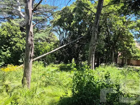 Terreno en Venta 25  mts Fondo