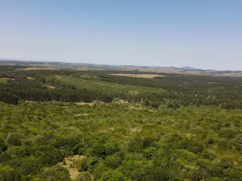 Campo - Venta - Uruguay, MALDONADO