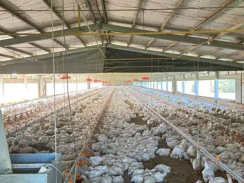 Ruta 11 , Piso No definido