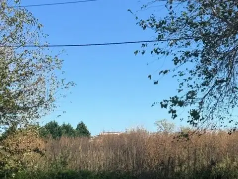 Campo - Venta - Argentina, La Plata