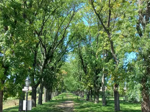 Terreno en Venta en Pilar del Este - Santa Guadalupe, USD 55.000