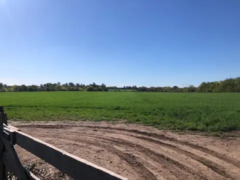 Campo en Venta de 18  ha