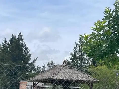 Quinta en 94 y El Chañar