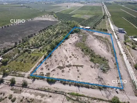 CUBO VENDE OPORTUNIDAD Campo 3 Hectáreas en Cruz de Piedra Maipú Mendoza