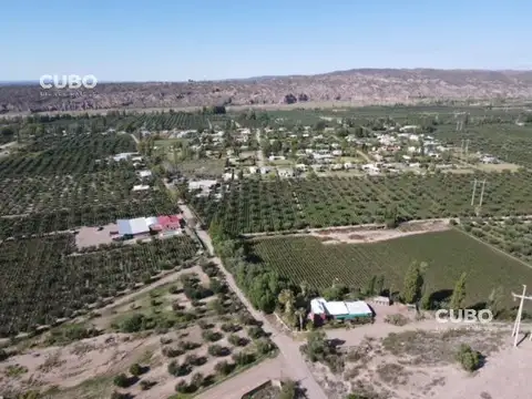 Terreno en Venta en Cruz De Piedra, USD 54.500