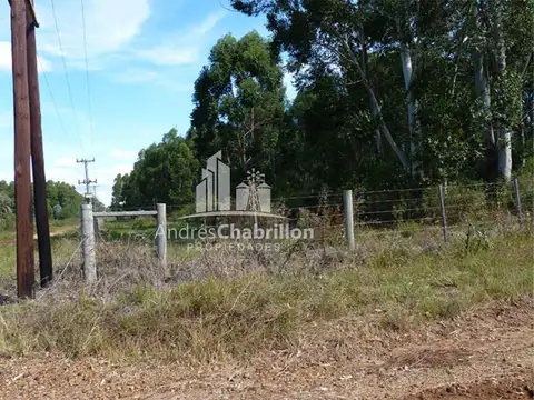 Campo En Venta, La Criolla 100