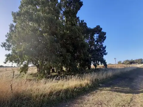 Terreno en Venta en Benito Juarez, USD 38.000