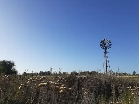 Terreno en Venta en Benito Juarez, USD 38.000
