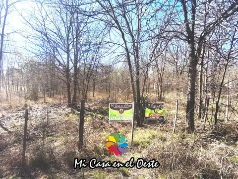 Terreno en Venta 38  mts Fondo