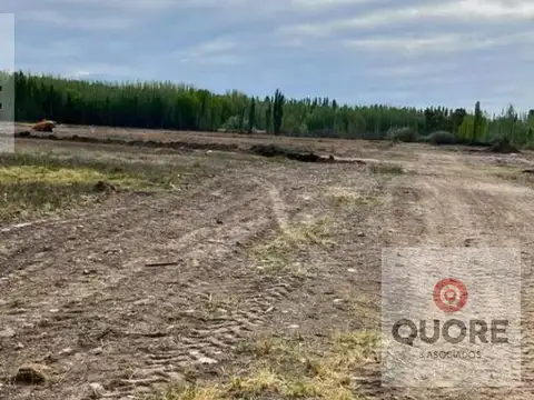 Terreno en Venta 10  mts Frente