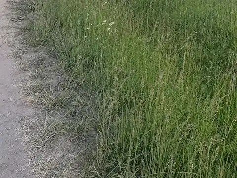 Terreno en venta - 1.400Mts2 - El Casal