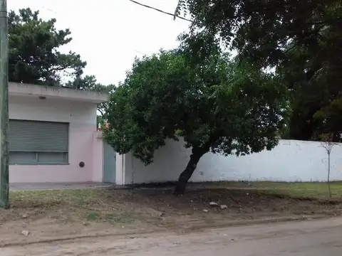 Avenida 8 al 1000