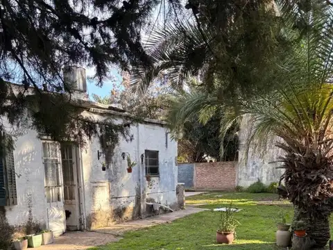 Obligado 100