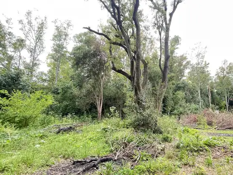 Venta de terreno en Venta en Villa Ruiz, San Andres De Giles